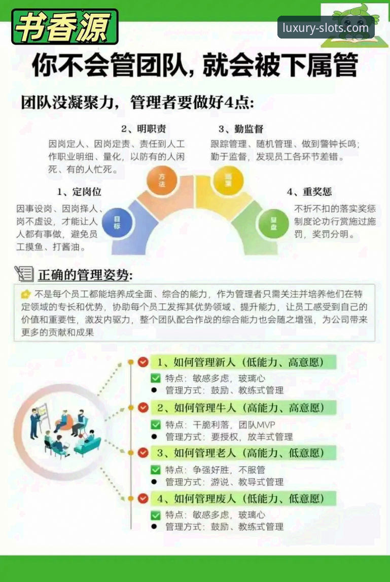 从上海队12连胜看团队协作：一份适用于多领域的实用指南